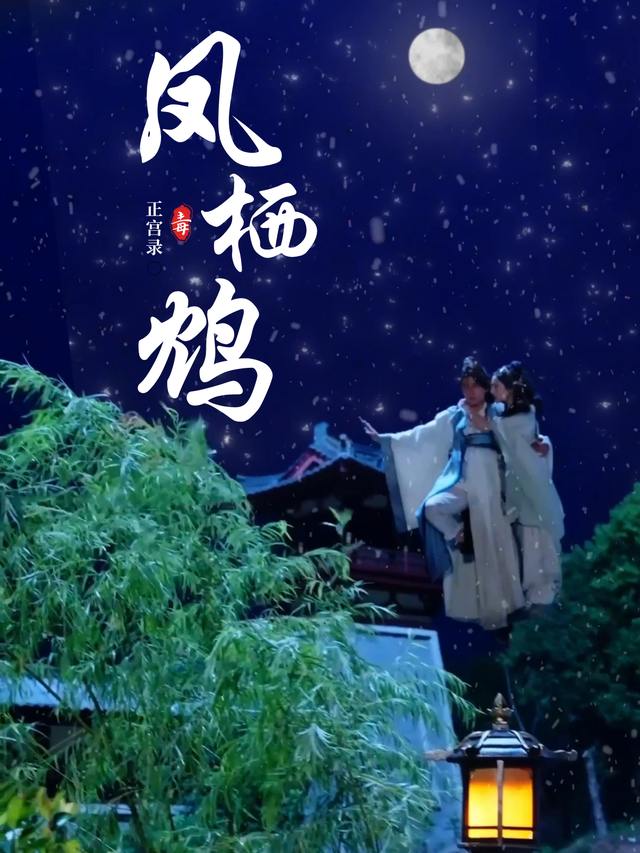 凤栖鸩封面