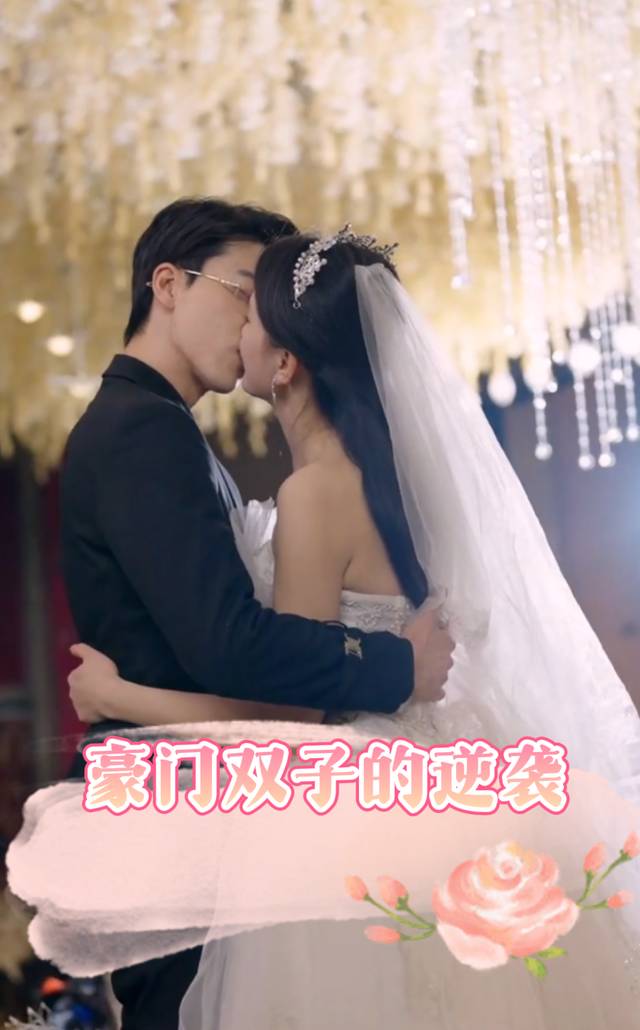 豪门双子的逆袭封面