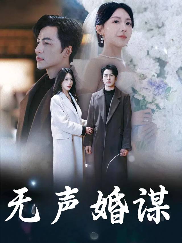 无声婚谋封面