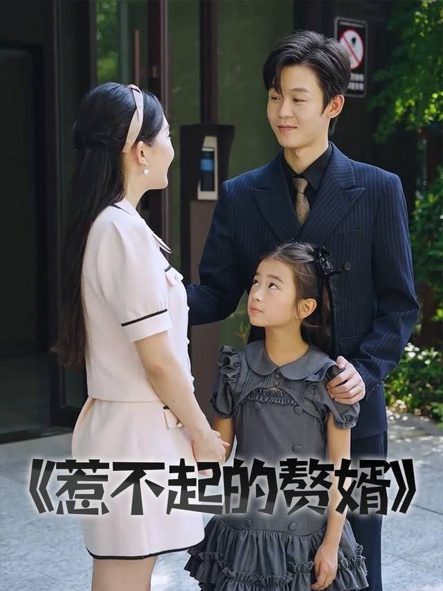 惹不起的赘婿封面