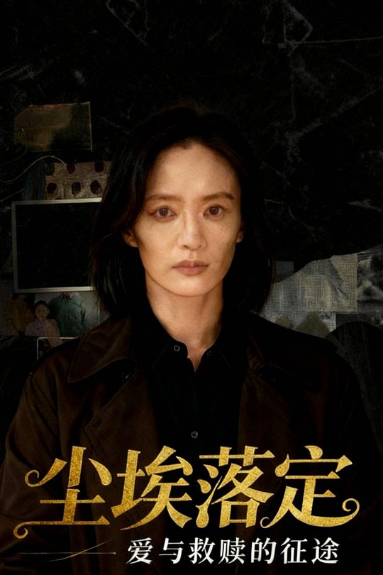 尘埃落定:爱与救赎的征途封面