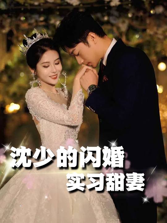 沈少的闪婚实习甜妻封面