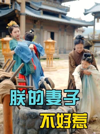 朕的妻子不好惹封面