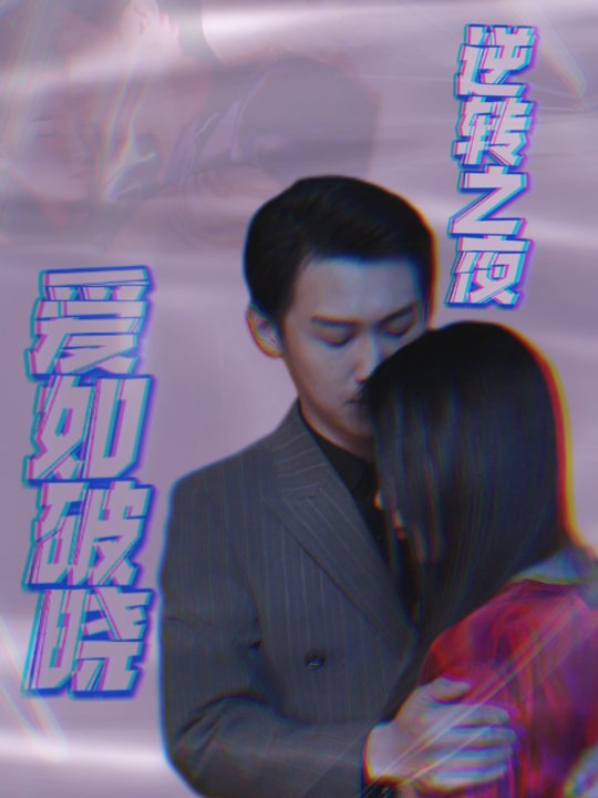逆转之夜:爱如破晓封面