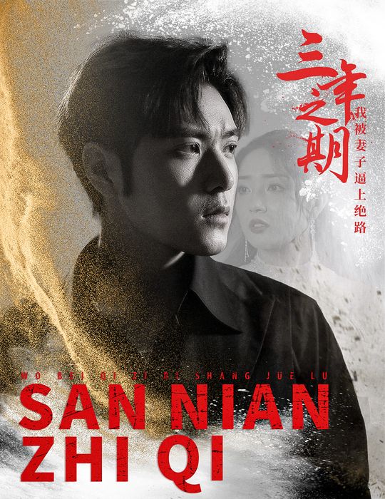 三年之期:我被妻子逼上绝路封面