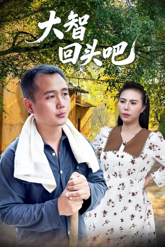 大智回头吧封面