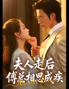 夫人走后傅总相思成疾封面