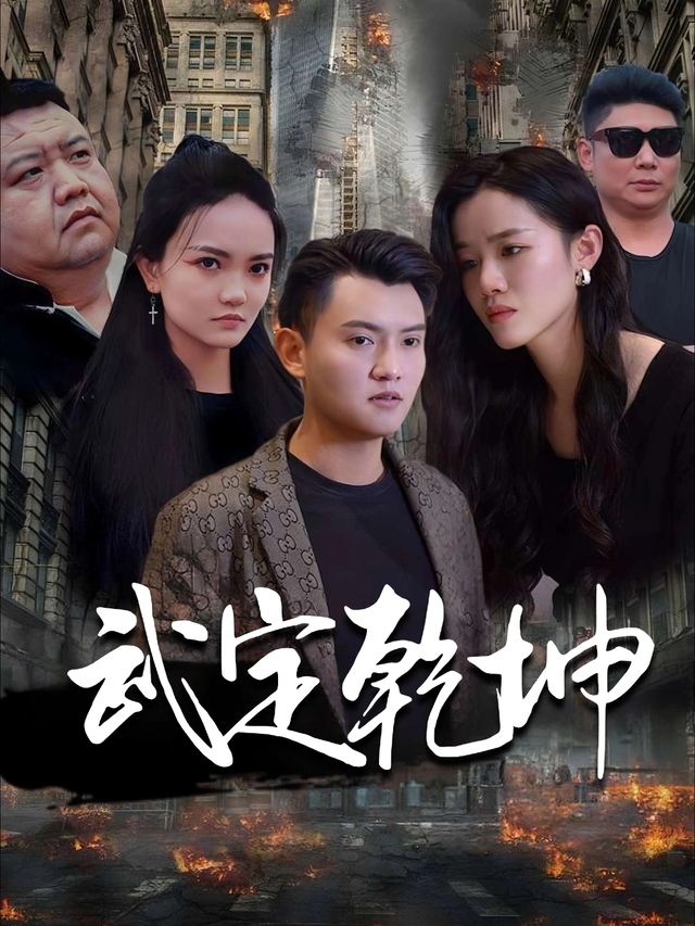 武定乾坤封面