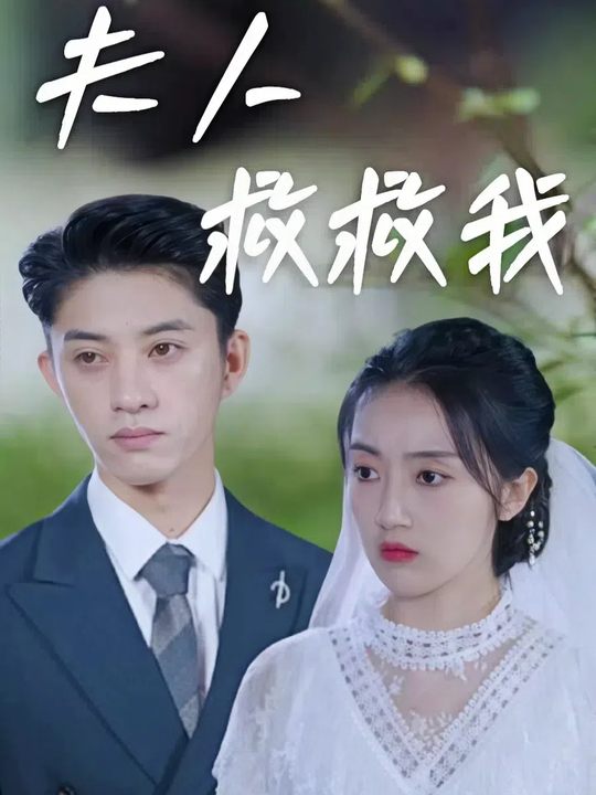夫人救救我封面
