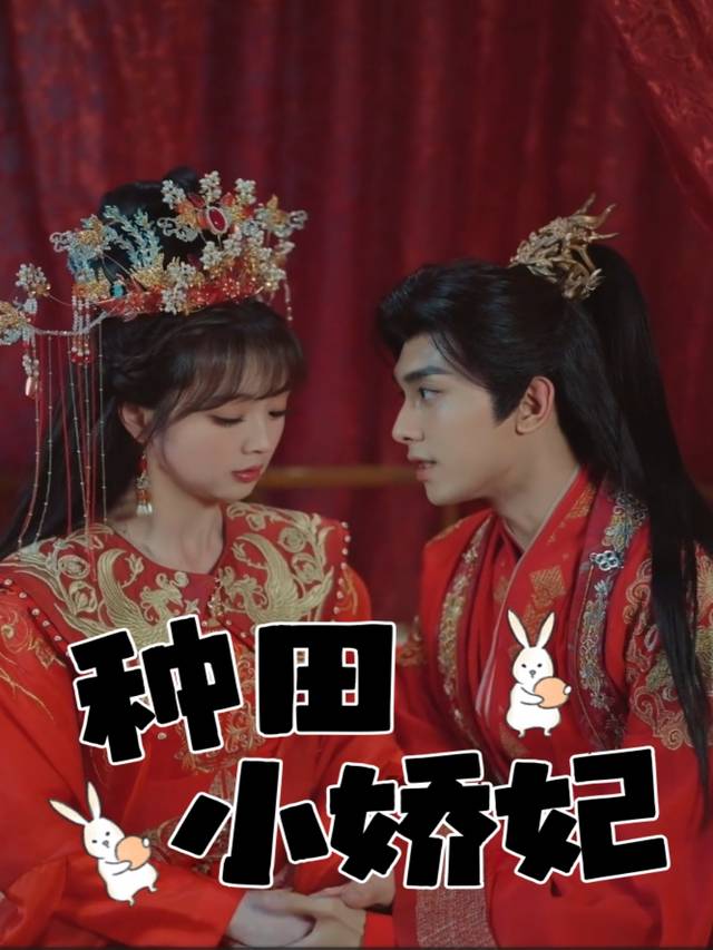 种田小娇妃封面