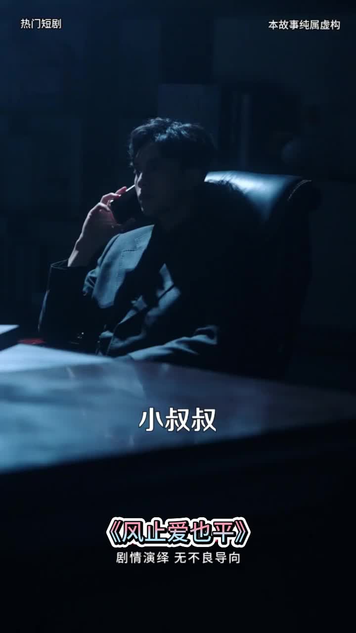 风止爱也平封面