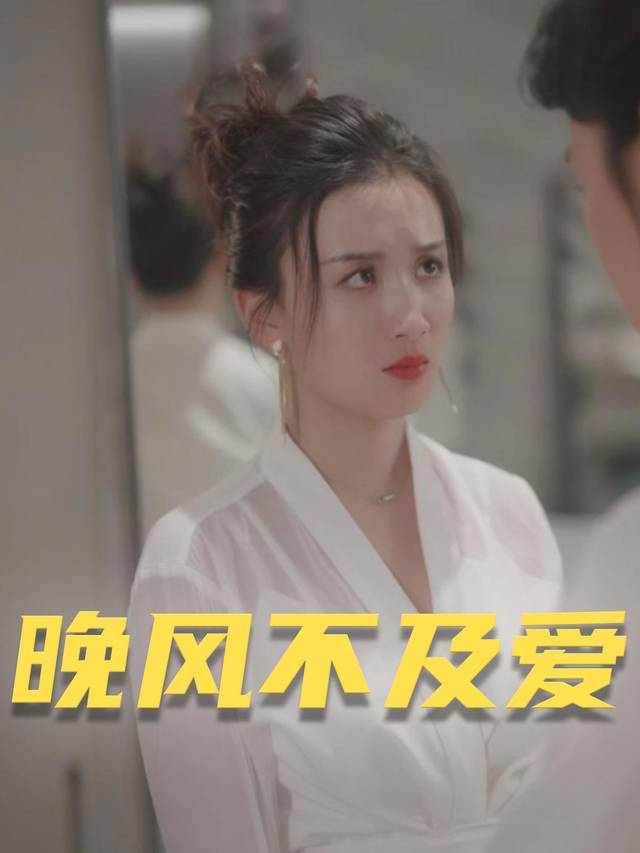 晚风不及爱封面