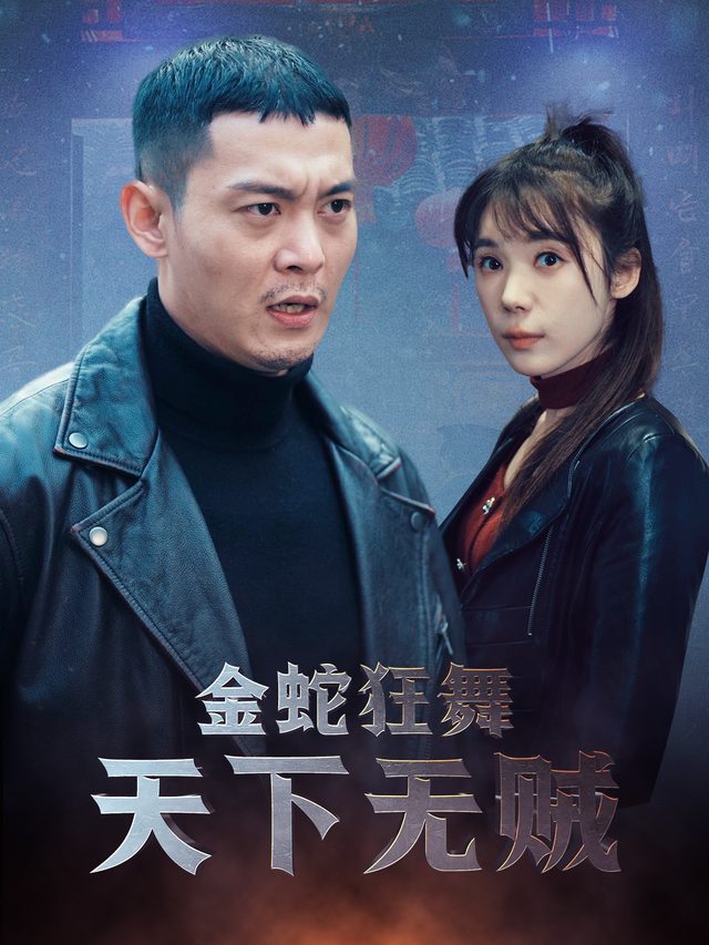 金蛇狂舞天下无贼封面
