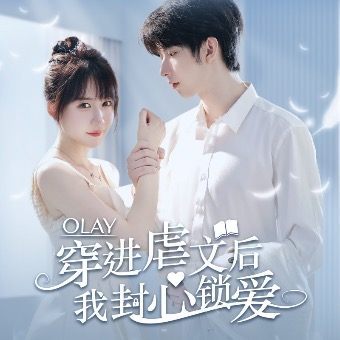穿进虐文后我封心锁爱封面