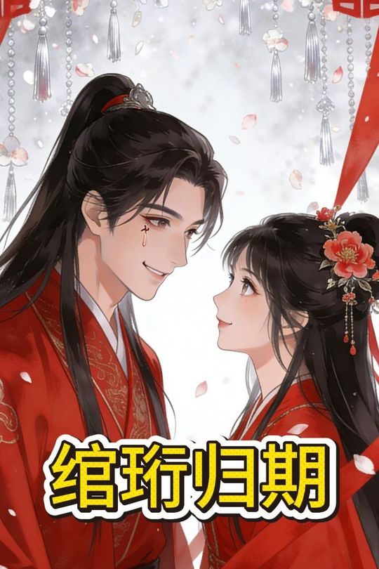 绾珩归期封面