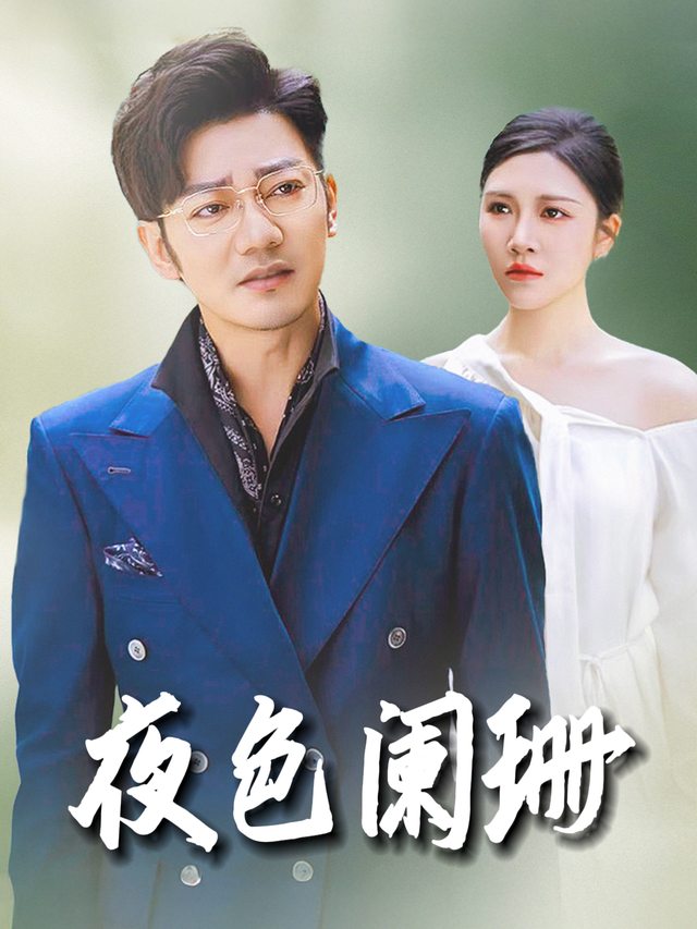 夜色阑珊封面