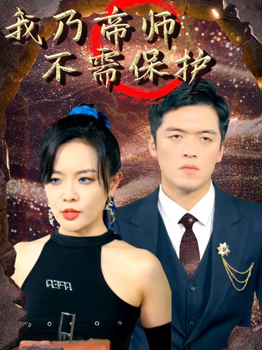 我乃帝师不需保护封面