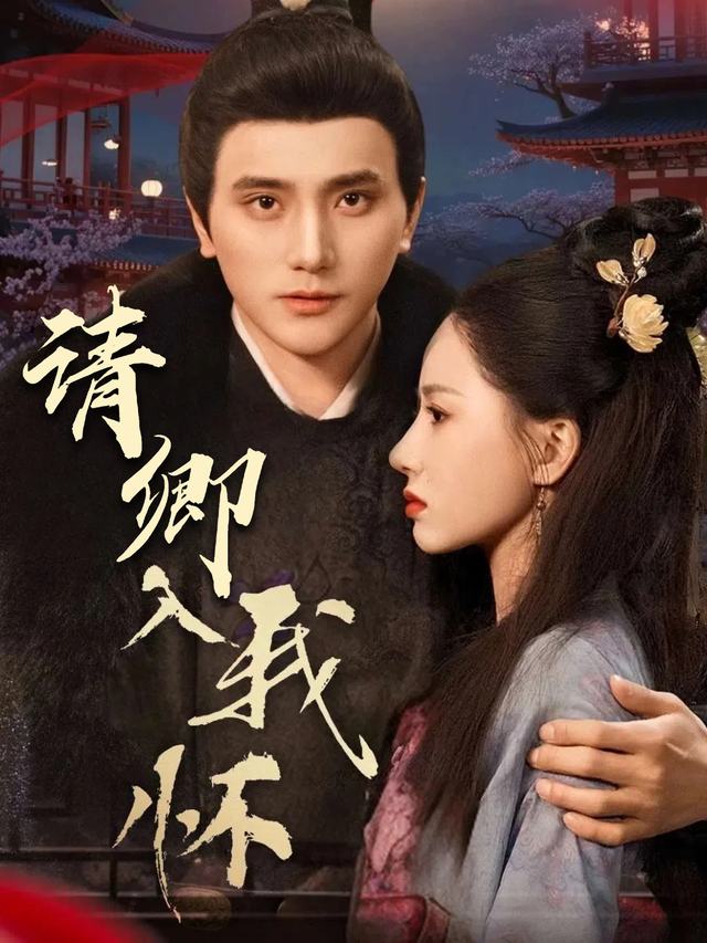 请卿入我怀封面