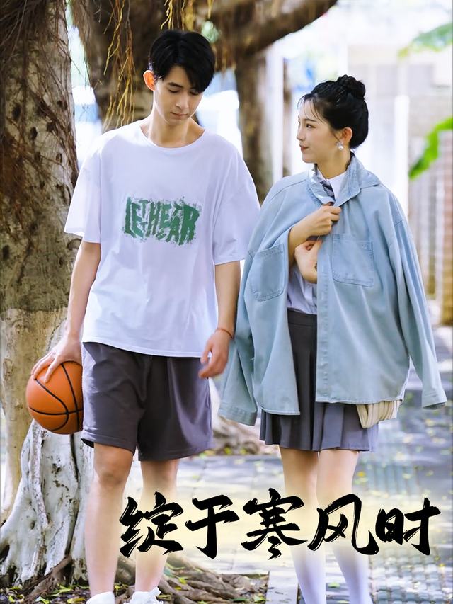 绽于寒风时封面