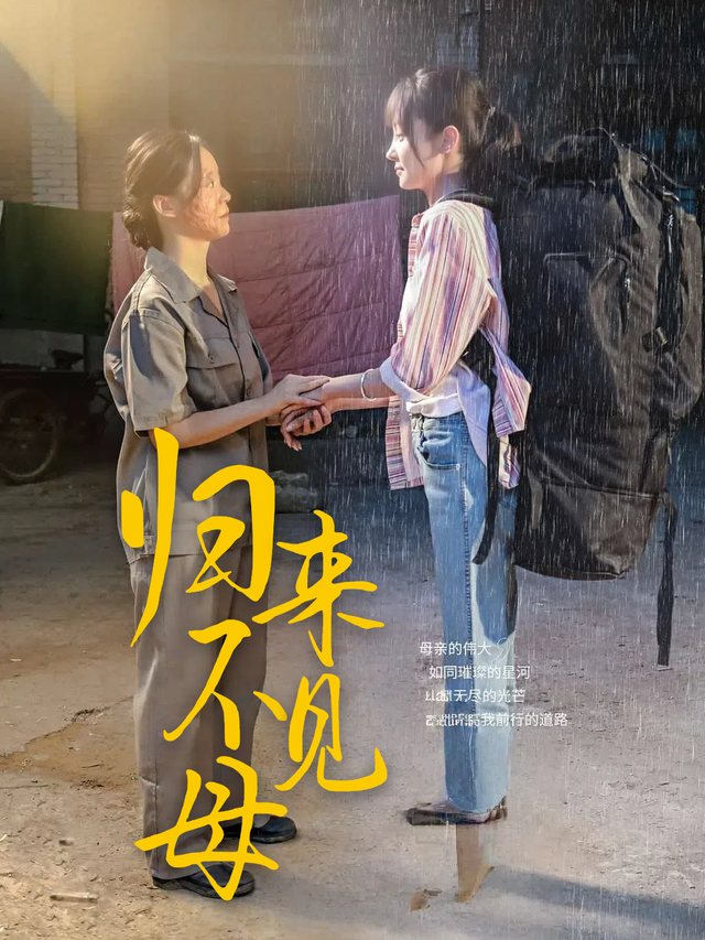 归来不见母封面