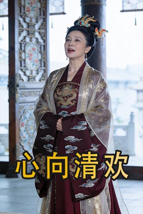 心向清欢封面