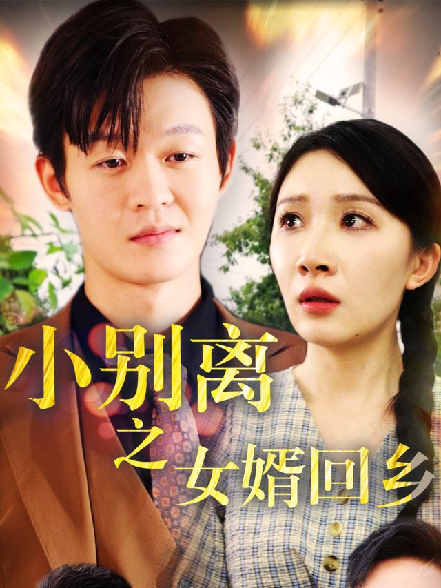 小别离之女婿回乡封面