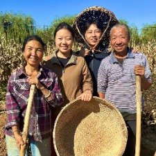 庄户雄好吃媳妇羔六的农村生活封面