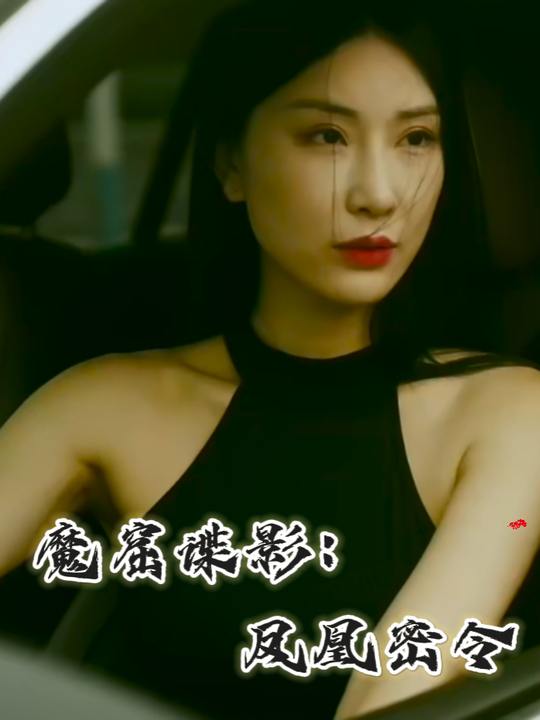 魔窟谍影:凤凰密令封面