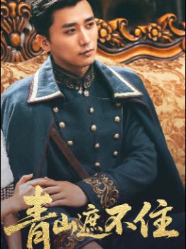 青山遮不住封面