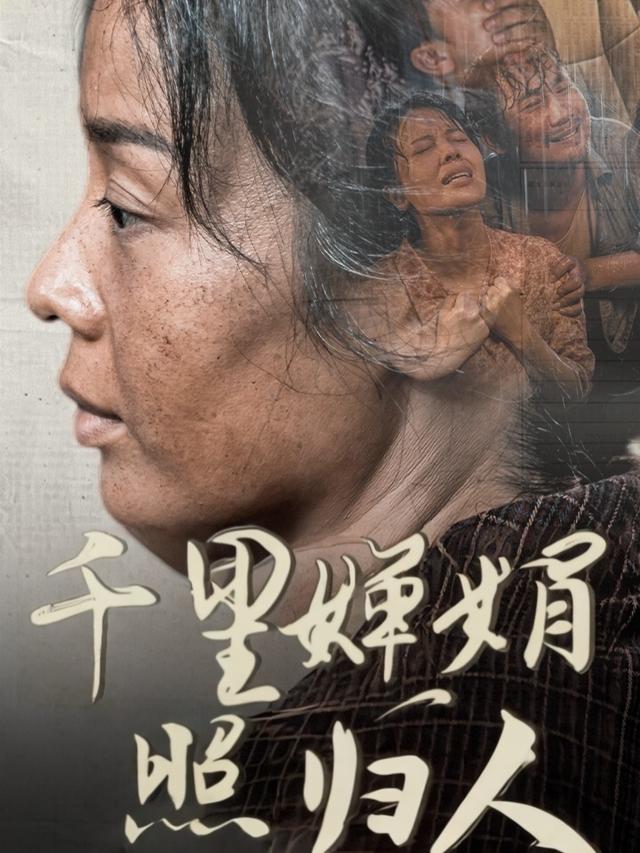 千里婵娟照归人封面