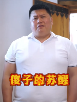 傻子的苏醒封面