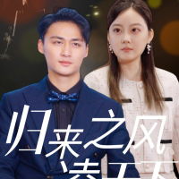 归来之风凌天下封面