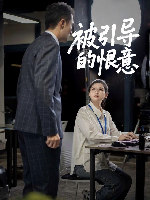 被引导的恨意封面