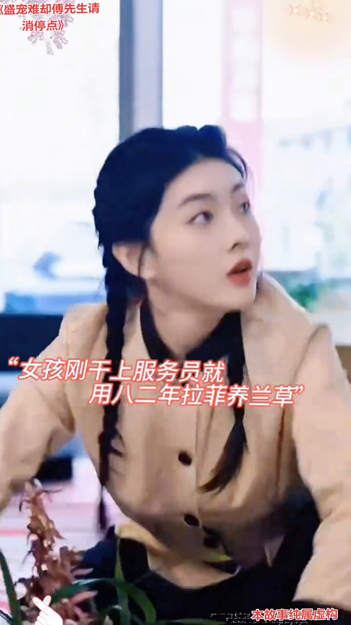 盛宠难却傅先生请消停点封面