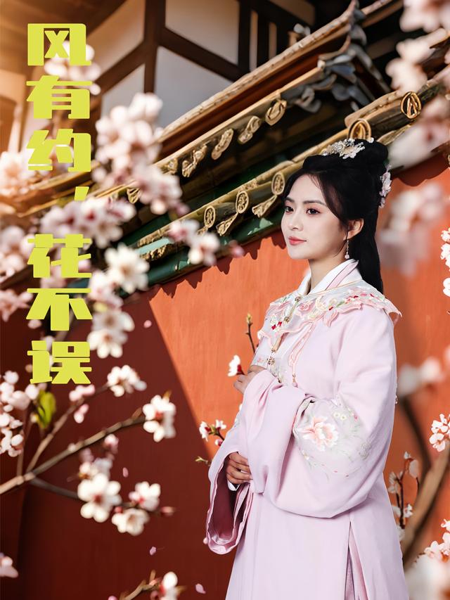 风有约,花不误封面