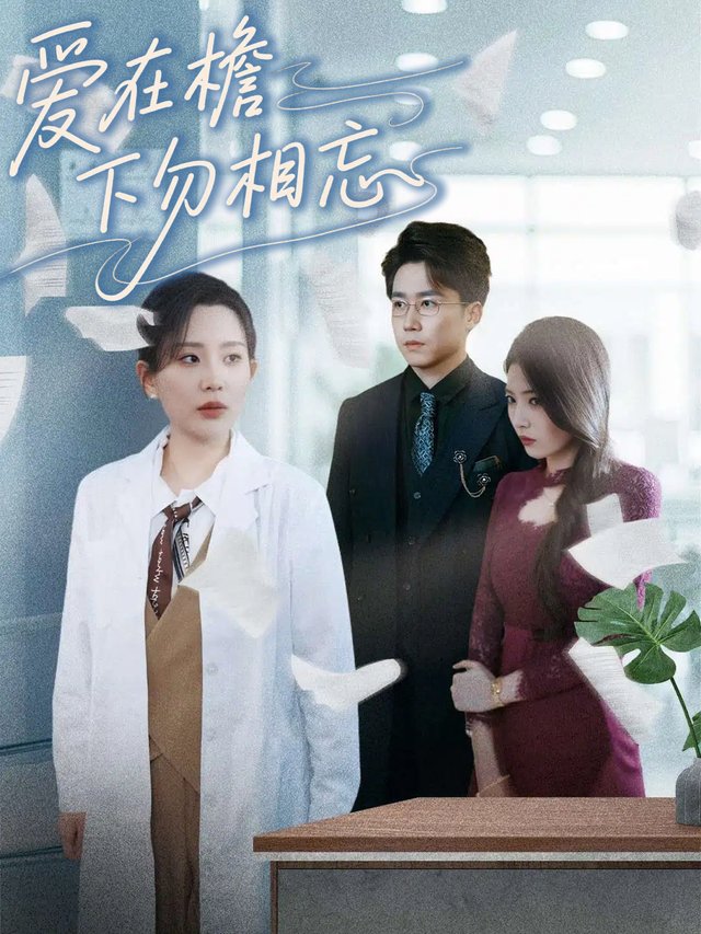 爱在檐下勿相忘封面