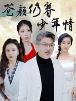 苍颜仍眷少年情封面