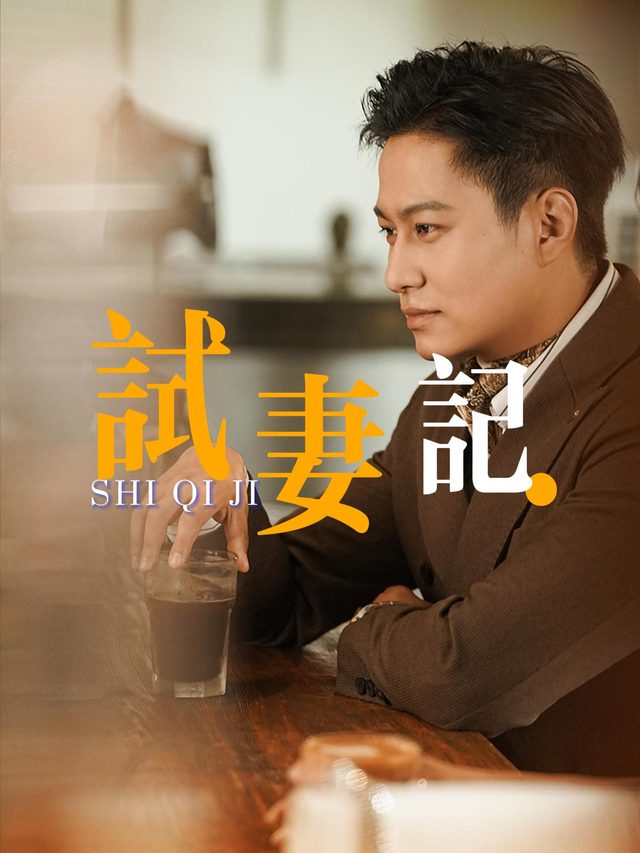 试妻记封面