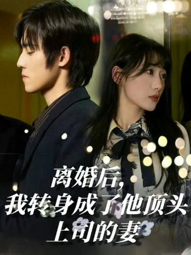离婚后,我转身成了他顶头上司的妻封面