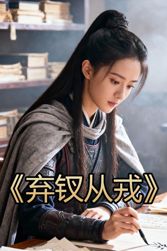 弃钗从戎封面