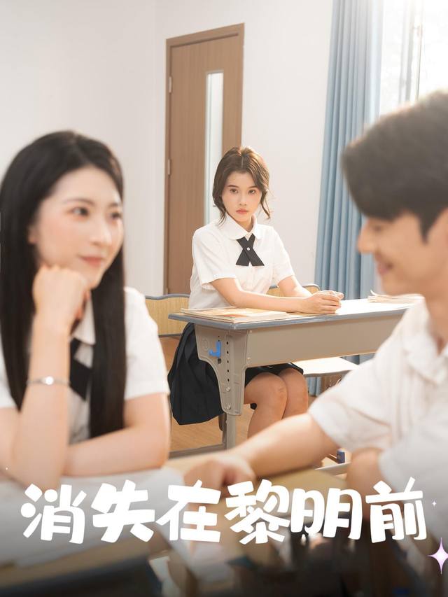 消失在黎明前封面
