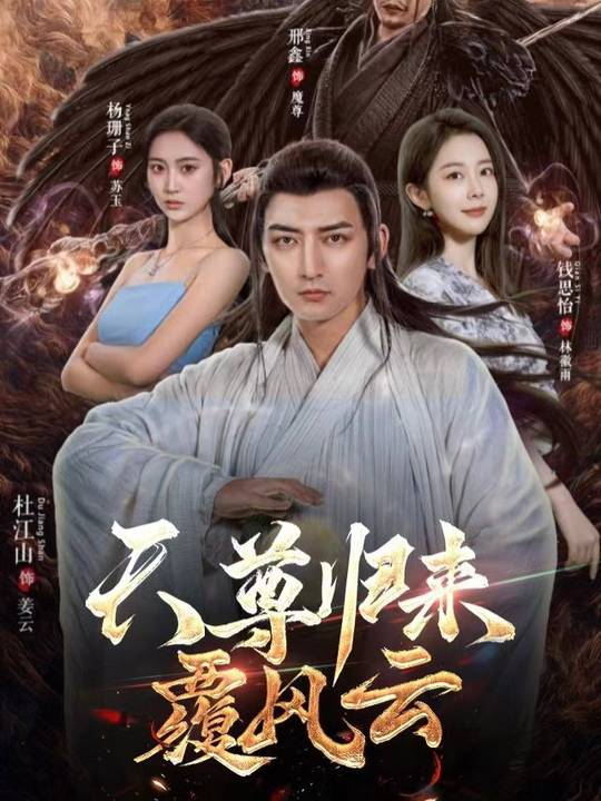 天尊归来覆风云封面
