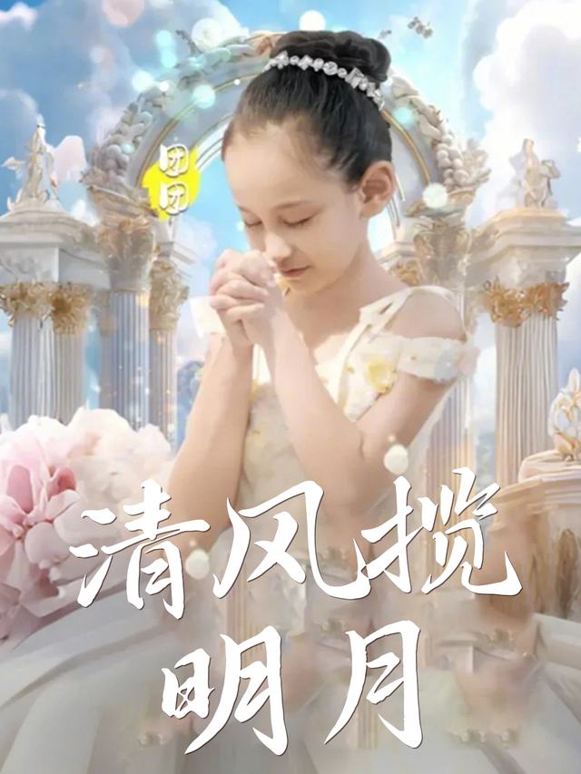清风揽明月封面