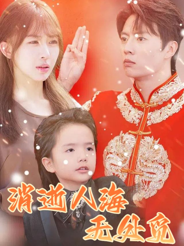 消逝人海无处觅封面