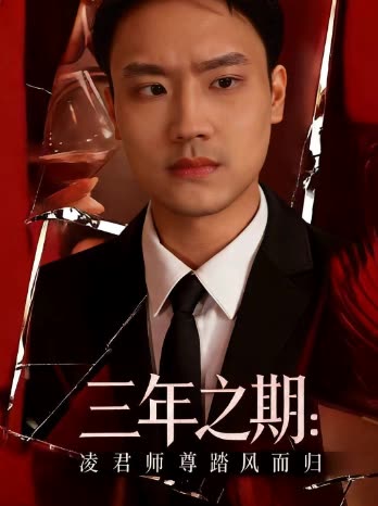 三年之期:凌君师尊踏风而归封面
