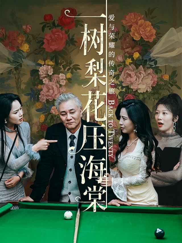 一树梨花压海棠-探云封面