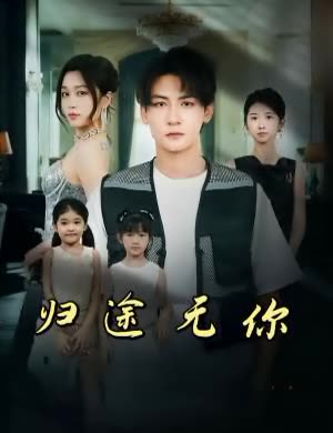 归途无你封面