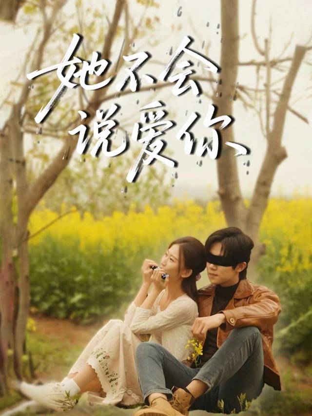 她不会说爱你封面