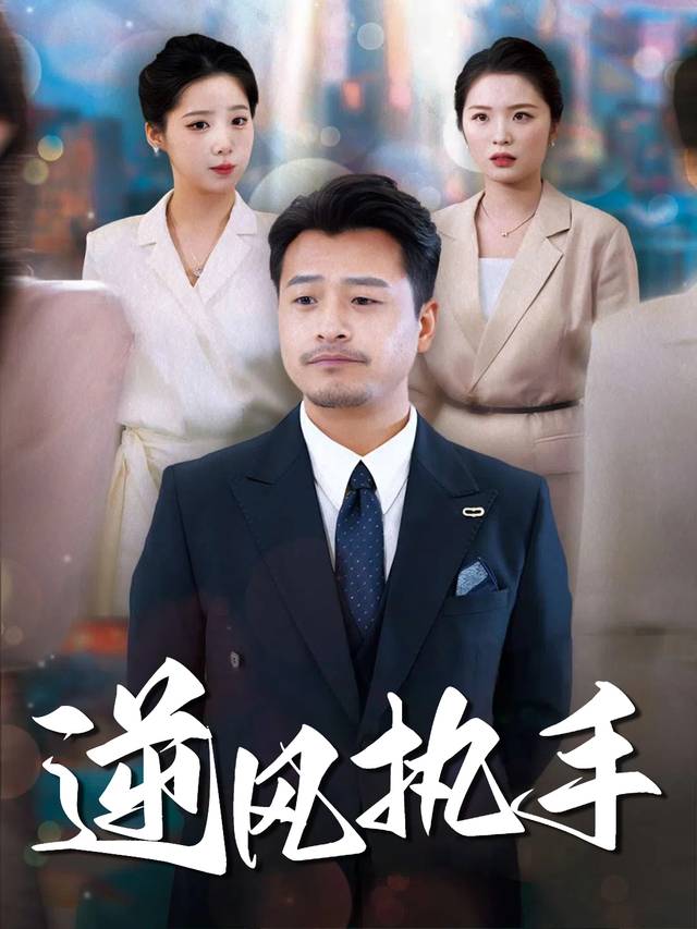 逆风执手封面