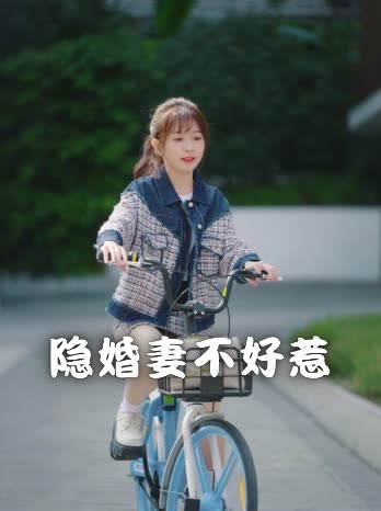 隐婚妻不好惹封面